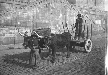 Scene et types (Porto), 1905