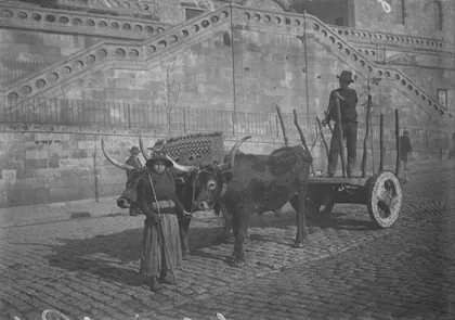 Types de paysans dans les environs de Porto, 1905