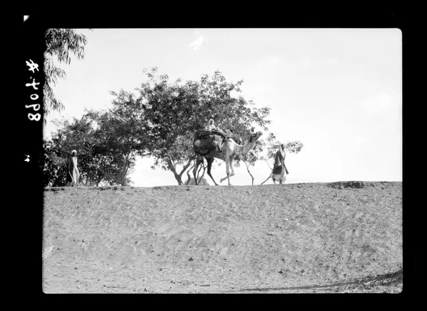 Cairo types, Cairo, 1934