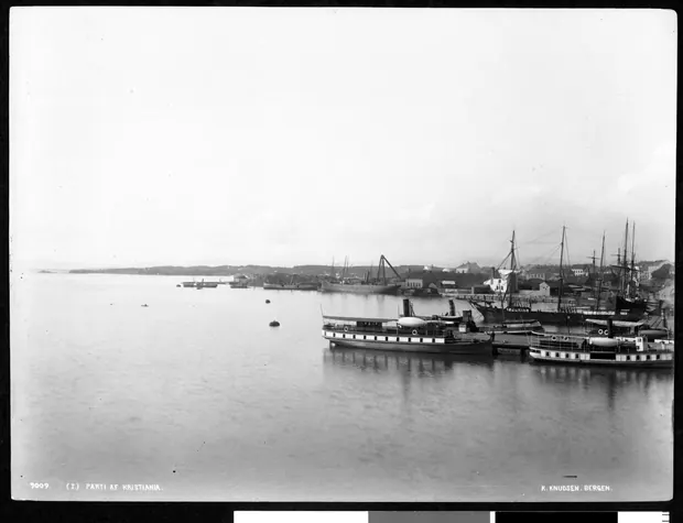 Parti af Kristiania, Oslo, 1889